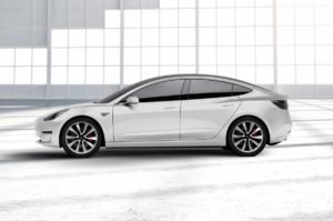 Tesla-Pearl-White-Muli-Coat