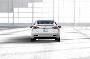 Tesla-Pearl-White-Muli-Coat-Back